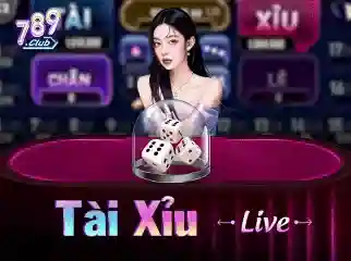 ufc在哪里买胜负相关图片